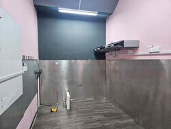 The Promenade@Pelikat (D19), Shop House #482190881